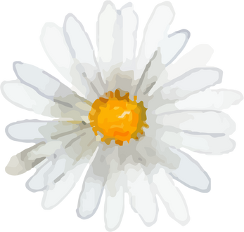 White Hand Drawn Flower Decoration